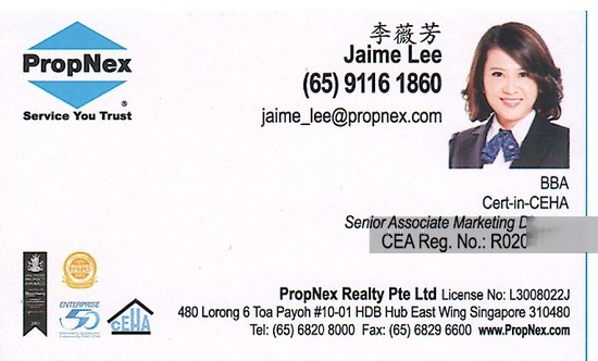 iSuites @ Palm (D19), Apartment #137504162